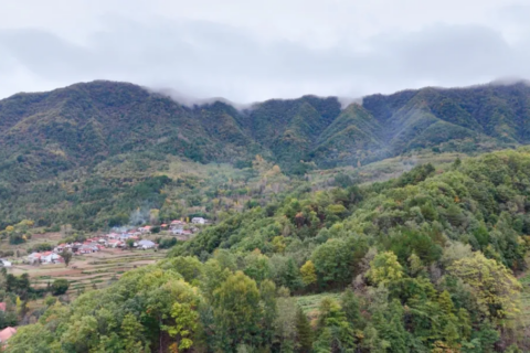 漢中黎坪八大碗：一口非遺宴席，藏著整座山的煙火人情
